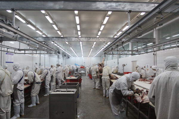 【新春走基層】看！老家特產在“變臉”