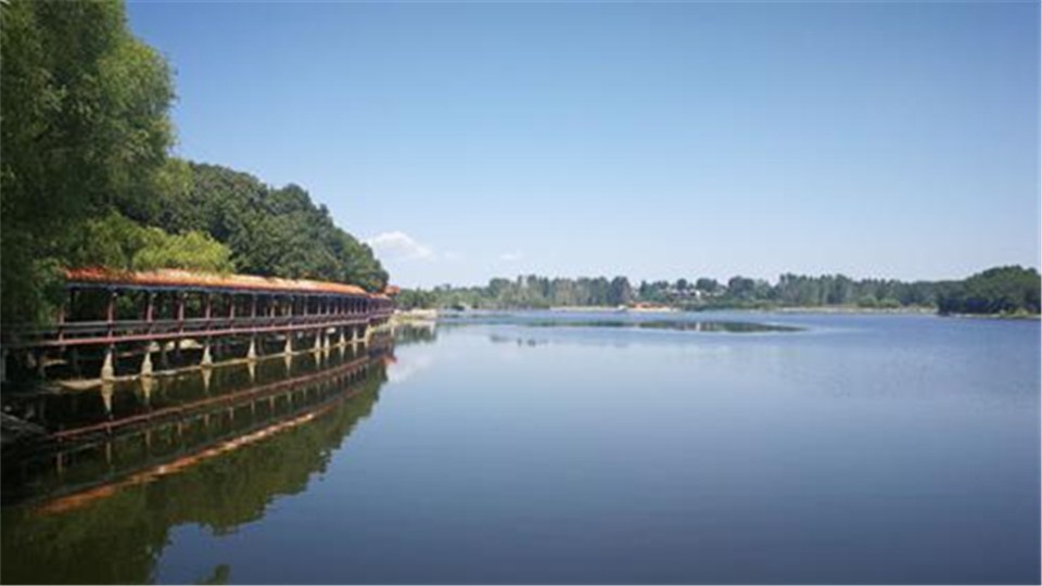  每日豫景丨南陽臥龍區(qū)龍王溝風景區(qū)：春風又綠“后花園