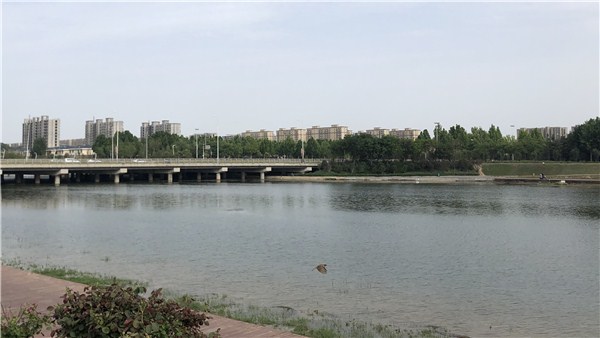 奮進新征程 豫見新氣象丨 “水云蹤”當上智能監(jiān)測“管