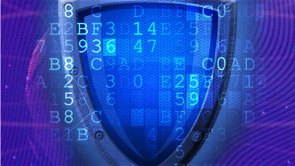 H5丨提升網絡安全意識 筑牢網絡安全防線