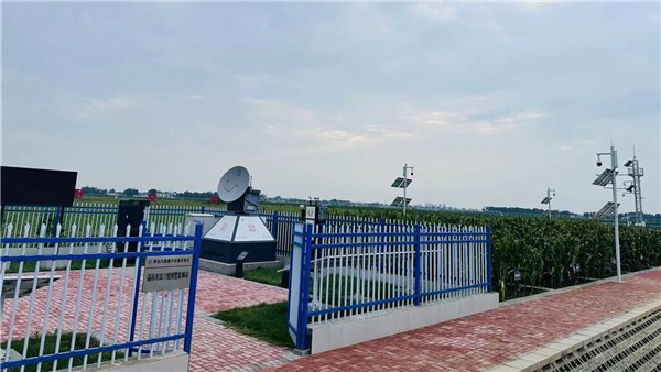 鄉村振興看河南丨如何把飯碗端牢在自己手中 新鄉從一