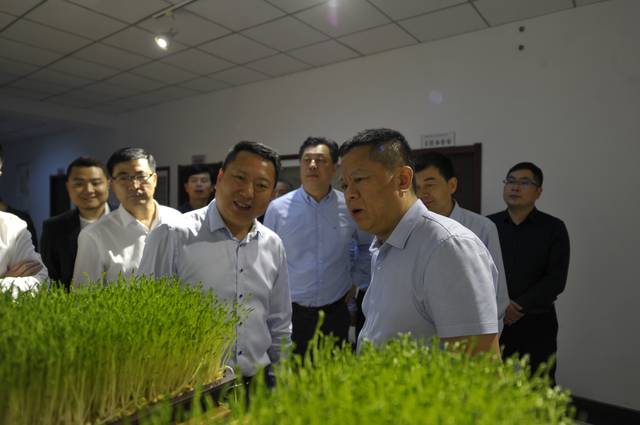 黑龍江省黑河市領(lǐng)導一行蒞臨芽狀元考察指導