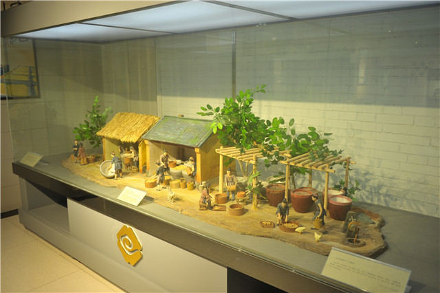 芽狀元天然豆芽李銀州:小豆芽的“中國夢”