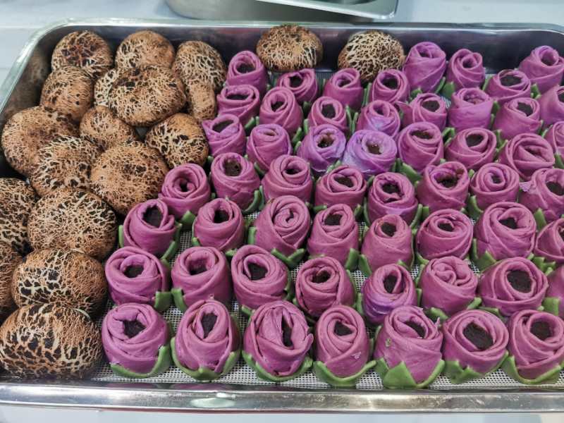 河南廚師武漢戰(zhàn)役日記