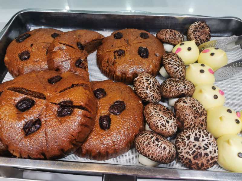 河南廚師武漢戰(zhàn)役日記