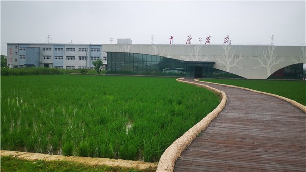 鄉村振興看河南 | 中原農谷：彰顯智慧格局，譜寫農業最美